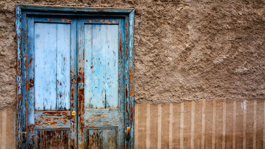 Securing Your Shed: Choosing the Best Doors